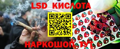мдпв Кандалакша
